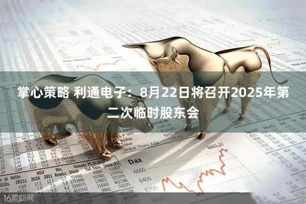 掌心策略 利通电子：8月22日将召开2025年第二次临时股东会